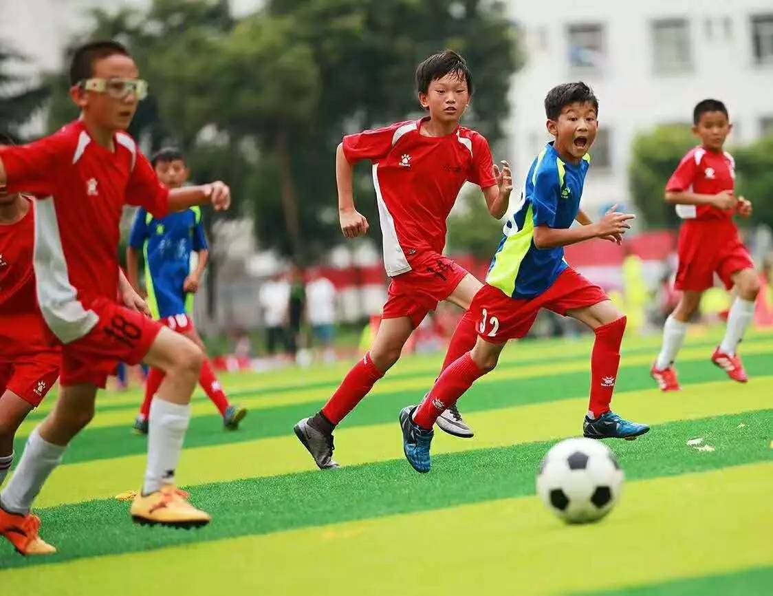 美国VS塞内加尔直播_美国VS塞内加尔免费直播在线直播