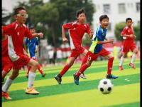 美国VS塞内加尔直播_美国VS塞内加尔免费直播在线直播