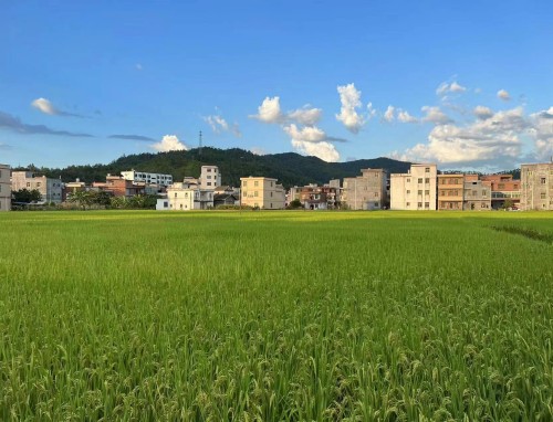 奥地利VS突尼斯直播_奥地利VS突尼斯免费直播在线直播 奥地利VS突尼斯直播_奥地利VS突尼斯免费直播在线直播